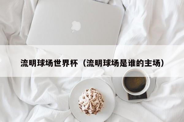 流明球场世界杯（流明球场是谁的主场）