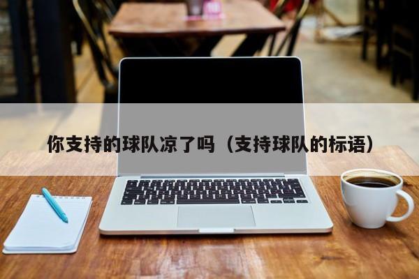 你支持的球队凉了吗（支持球队的标语）